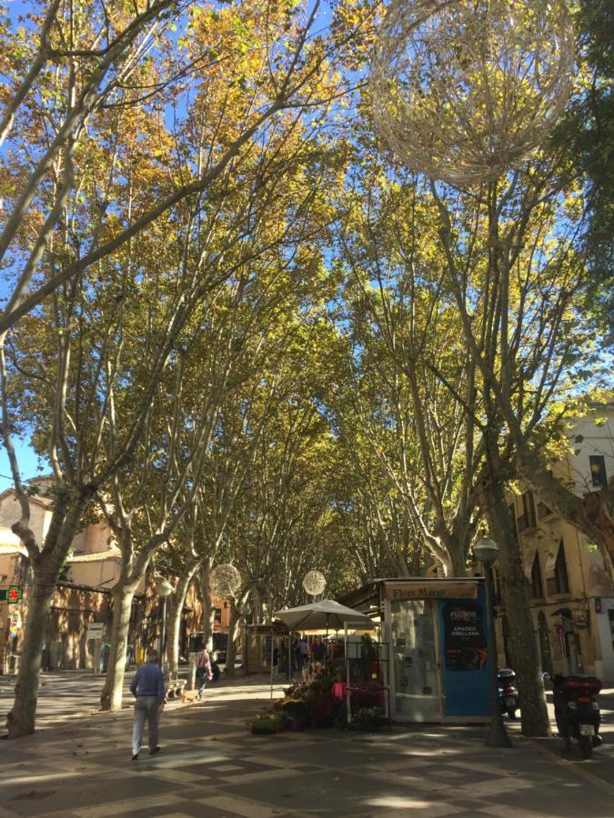 Cream Homes La Rambla, Turismo De Interior Palma Kültér fotó