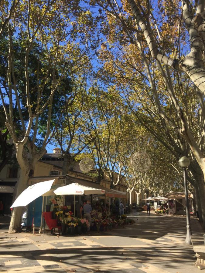 Cream Homes La Rambla, Turismo De Interior Palma Kültér fotó