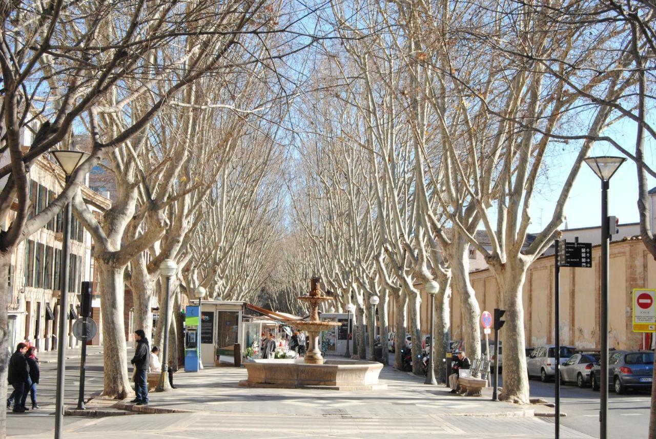 Cream Homes La Rambla, Turismo De Interior Palma Kültér fotó